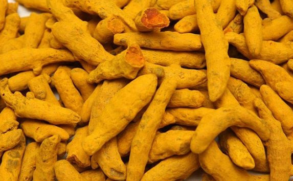Turmeric Finger Exporters and Suppliers in India | Golden Spice's Journey
